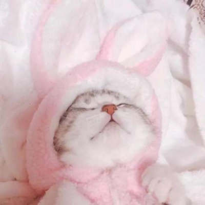 ����:��ͷ/������ҹ·�� ����û�������