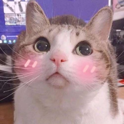 ����:��ͷ/������ҹ·�� ����û�������