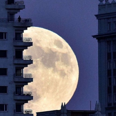 �������� ��ȥ���� ��Զ����?