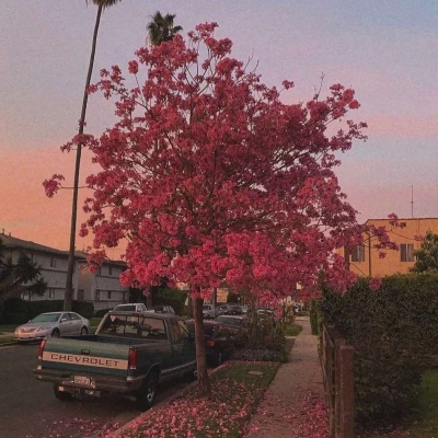 �������� ��ȥ���� ��Զ����?