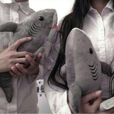 ������ͷ/·��ɽˮ��� ף�Լ��������ط�.