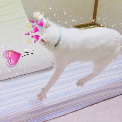 ����/ɳ����ͷ