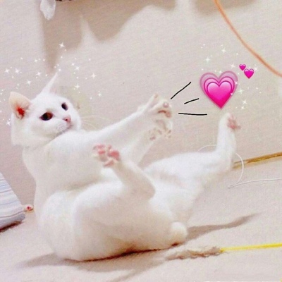 ����/ɳ����ͷ