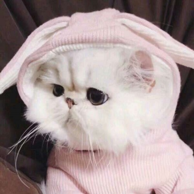 ����/ɳ����ͷ