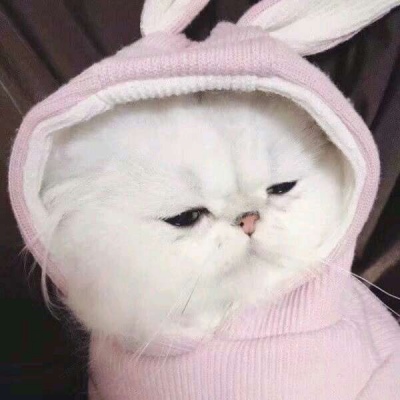 ����/ɳ����ͷ