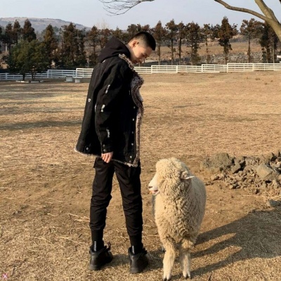 ���������׵�Ӳ�ң����涼���μ��㡼���ࡽ