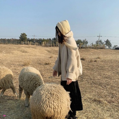 ���������׵�Ӳ�ң����涼���μ��㡼���ࡽ