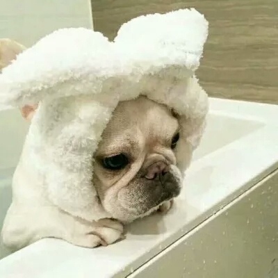 Ƥ:ϲ����ѽ����һ�����ǣ���ü���𵽽ż⡣�۰��ۣ�