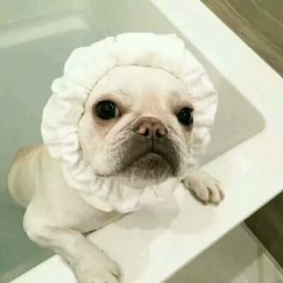 Ƥ:ϲ����ѽ����һ�����ǣ���ü���𵽽ż⡣�۰��ۣ�