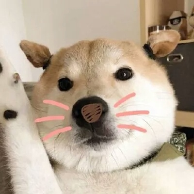 Ƥ:ϲ����ѽ����һ�����ǣ���ü���𵽽ż⡣�۰��ۣ�