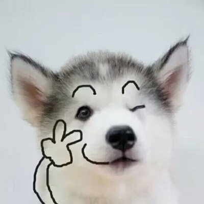 Ƥ:ϲ����ѽ����һ�����ǣ���ü���𵽽ż⡣�۰��ۣ�