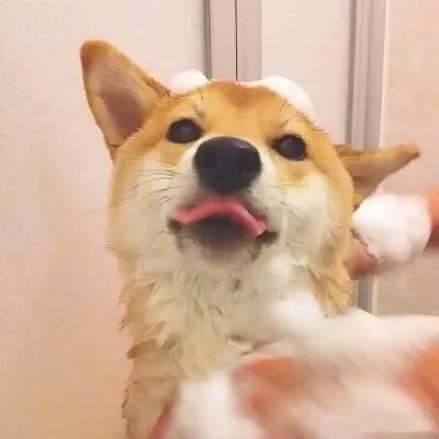 Ƥ:ϲ����ѽ����һ�����ǣ���ü���𵽽ż⡣�۰��ۣ�