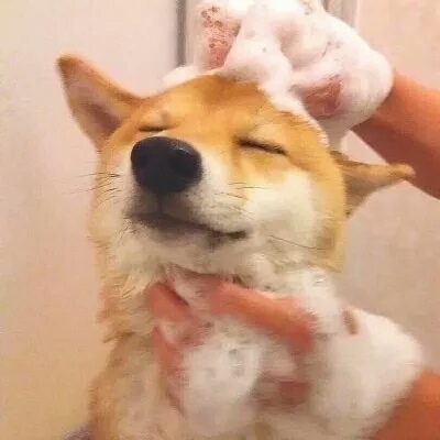 Ƥ:ϲ����ѽ����һ�����ǣ���ü���𵽽ż⡣�۰��ۣ�