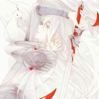 ��ͷ ���� �˸� ɥ