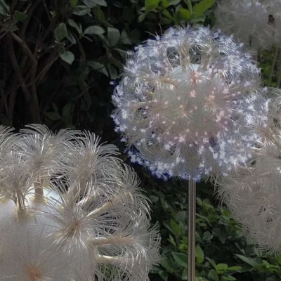 ��ݮ�ࣺ���ر���ͼ��2��