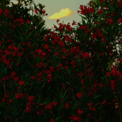 Ī��? ��ϲ������� ϴ��ϴһҹ �Է���һ�� ���������� �˵������