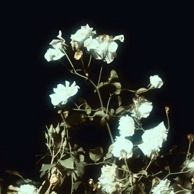 Ī��? ��ϲ������� ϴ��ϴһҹ �Է���һ�� ���������� �˵������