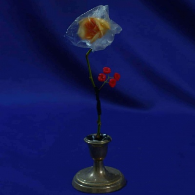 Ī��? ��ϲ������� ϴ��ϴһҹ �Է���һ�� ���������� �˵������