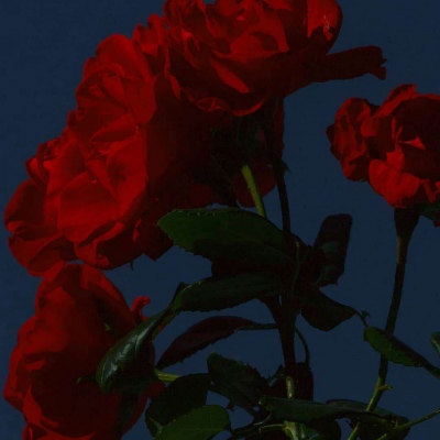 Ī��? ��ϲ������� ϴ��ϴһҹ �Է���һ�� ���������� �˵������