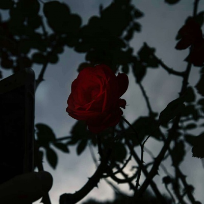 Ī��? ��ϲ������� ϴ��ϴһҹ �Է���һ�� ���������� �˵������