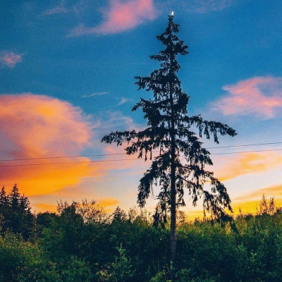 Ī��? ��ϲ������� ϴ��ϴһҹ �Է���һ�� ���������� �˵������