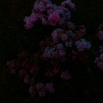 Ī��? ��ϲ������� ϴ��ϴһҹ �Է���һ�� ���������� �˵������