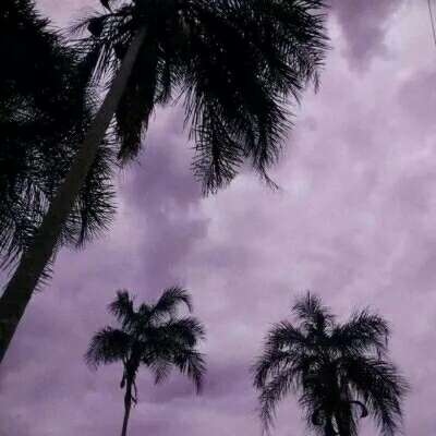 Ī��? ��ϲ������� ϴ��ϴһҹ �Է���һ�� ���������� �˵������