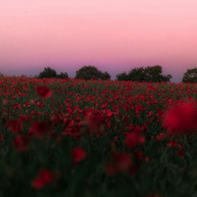 Ī��? ��ϲ������� ϴ��ϴһҹ �Է���һ�� ���������� �˵������