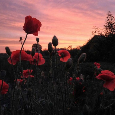 Ī��? ��ϲ������� ϴ��ϴһҹ �Է���һ�� ���������� �˵������