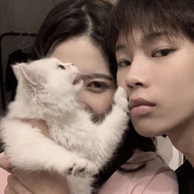 Ѱ��/2019����Ψ����ͷ/�����������е�������