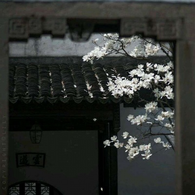 ��֮�ϡ�ڰ׹�Ӱ