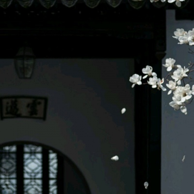 ��֮�ϡ�ڰ׹�Ӱ