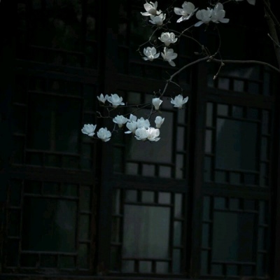 ��֮�ϡ�ڰ׹�Ӱ