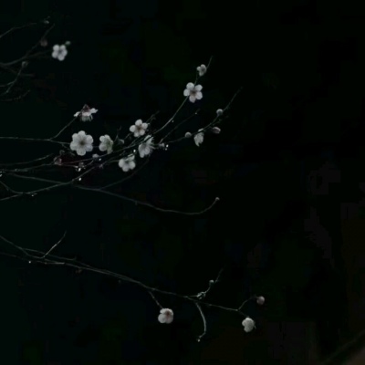 ��֮�ϡ�ڰ׹�Ӱ