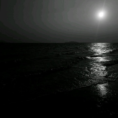 ��֮�ϡ�ڰ׹�Ӱ