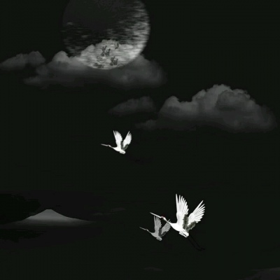 ��֮�ϡ�ڰ׹�Ӱ