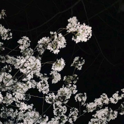 ��֮�ϡ�ڰ׹�Ӱ