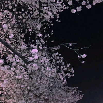 ��֮�ϡ�ڰ׹�Ӱ