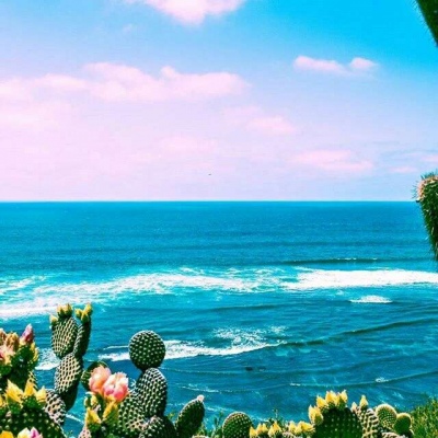 Ī��? ��֮�������� Ȼ��ֵ�õȴ�