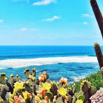 Ī��? ��֮�������� Ȼ��ֵ�õȴ�