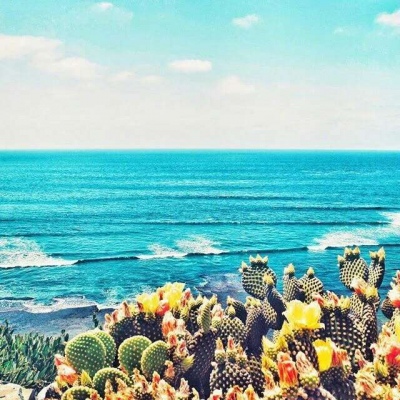 Ī��? ��֮�������� Ȼ��ֵ�õȴ�