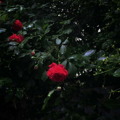 Ī��? ��֮�������� Ȼ��ֵ�õȴ�