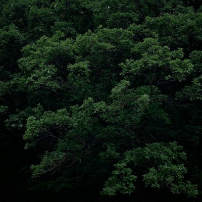 Ī��? ��֮�������� Ȼ��ֵ�õȴ�