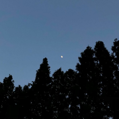 Ī��? ��֮�������� Ȼ��ֵ�õȴ�