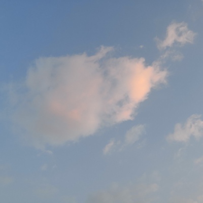 Ī��? ��֮�������� Ȼ��ֵ�õȴ�