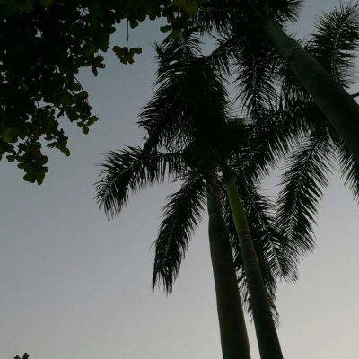 Ī��? ��֮�������� Ȼ��ֵ�õȴ�