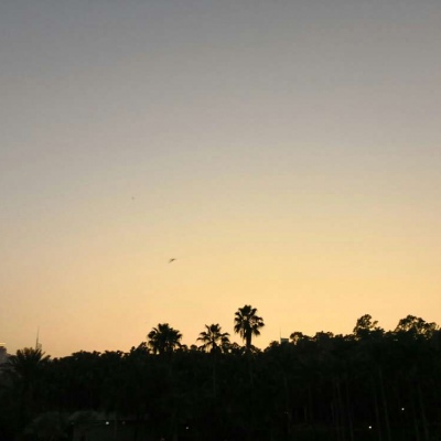 Ī��? ��֮�������� Ȼ��ֵ�õȴ�