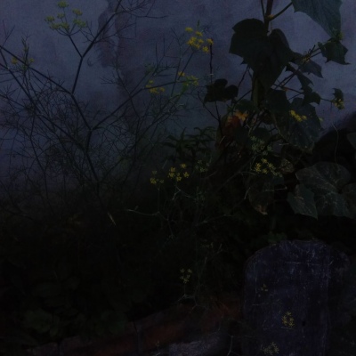 �ӱ���ͼ/������æ�������㻹����ͷ��