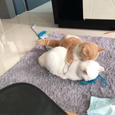 ����ͷ�� ����ϵ�� ���Թ�ɳ�� ��ز