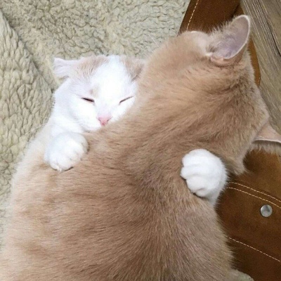 ����ͷ�� ����ϵ�� ���Թ�ɳ�� ��ز